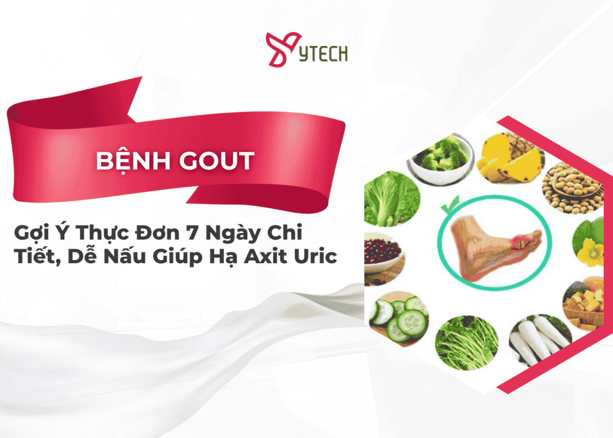 BỆNH GOUT (GÚT) NÊN ĂN GÌ? GỢI Ý THỰC ĐƠN 7 NGÀY CHI TIẾT, DỄ NẤU GIÚP HẠ AXIT URIC